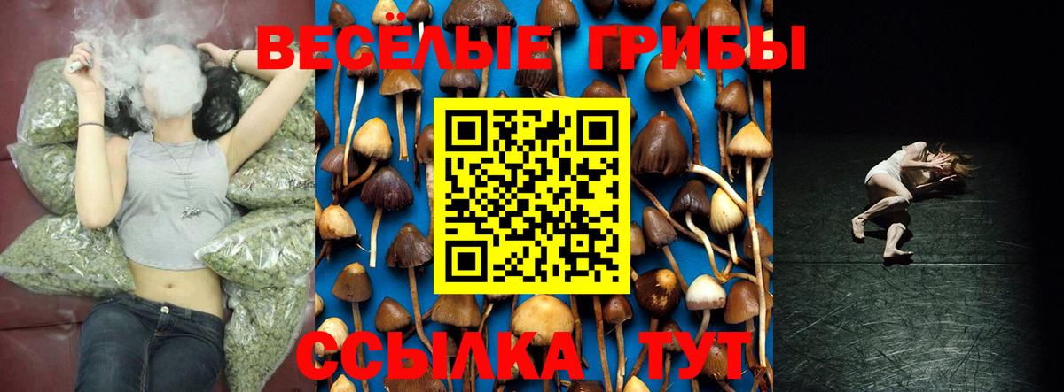 Псилоцибиновые грибы Cubensis  Псилоцибиновые грибы мицелий  Вход с VPN  Зеленодольск 