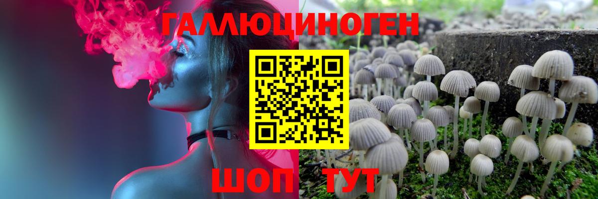 Галлюциногенные грибы Cubensis Зеленодольск